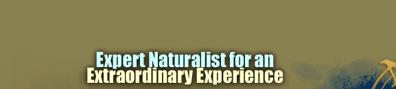Expert Naturalist for an Extraordinary Experience.