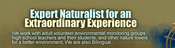 Expert Naturalist for an Extraordinary Experience - We work with adult volunteer environmental monitoring groups, high school teachers and their students, and other nature lovers for a better environment. We are also Bilingual.